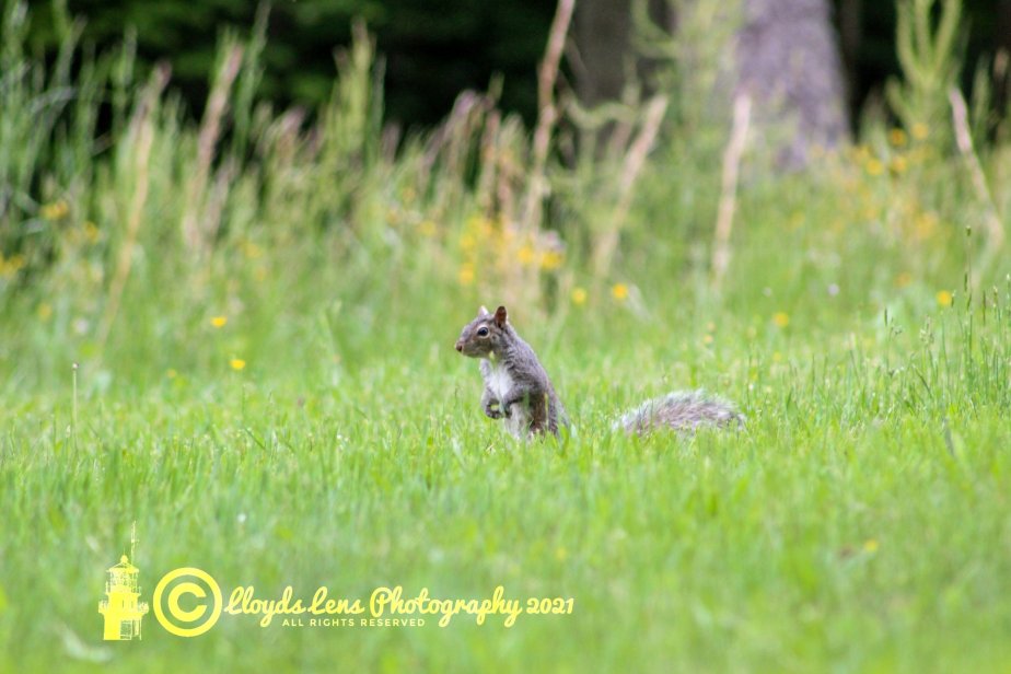 A day in the&nbsp;light…