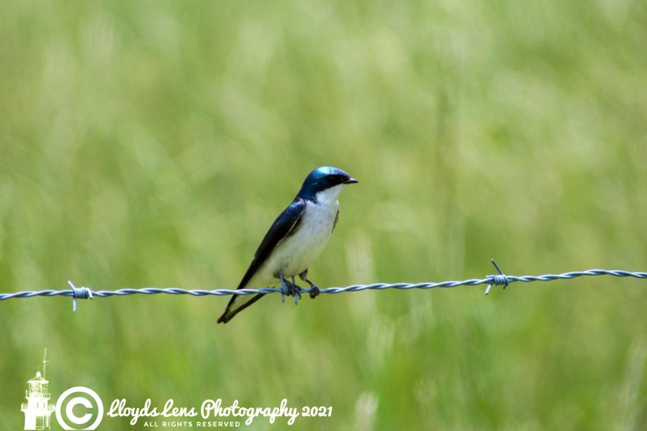 The Superhero On The&nbsp;Farm