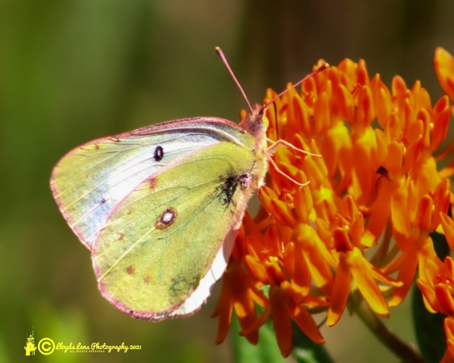 That Lot Isn’t&nbsp;Vacant