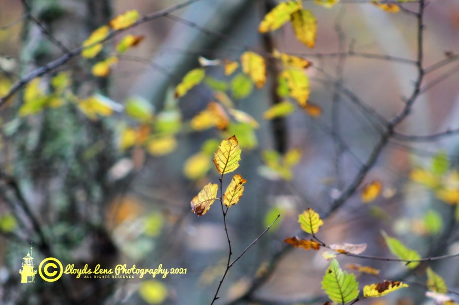 Of Light And&nbsp;Flow