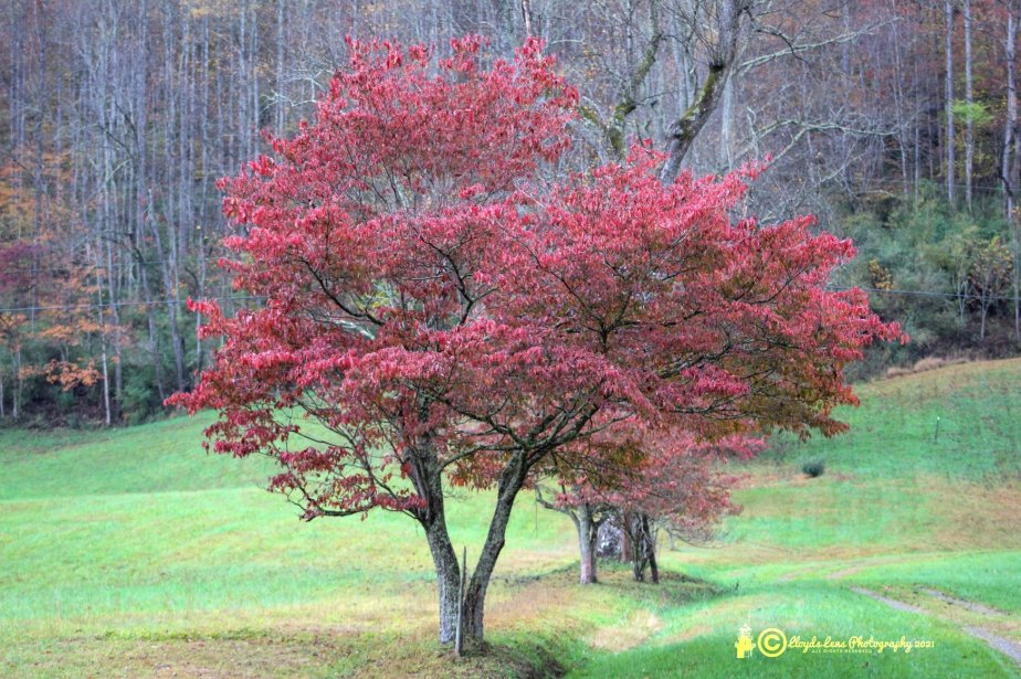 The Completion Of Nature Is&nbsp;You