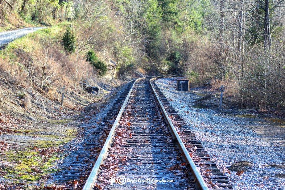 The New Light&nbsp;122121